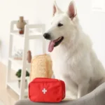 El botiquín de primeros auxilios es vital para el cuidado de las mascotas