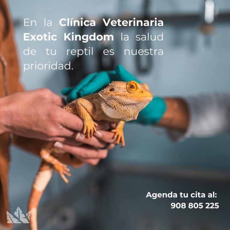 Exotic Kingdom 4 768x768