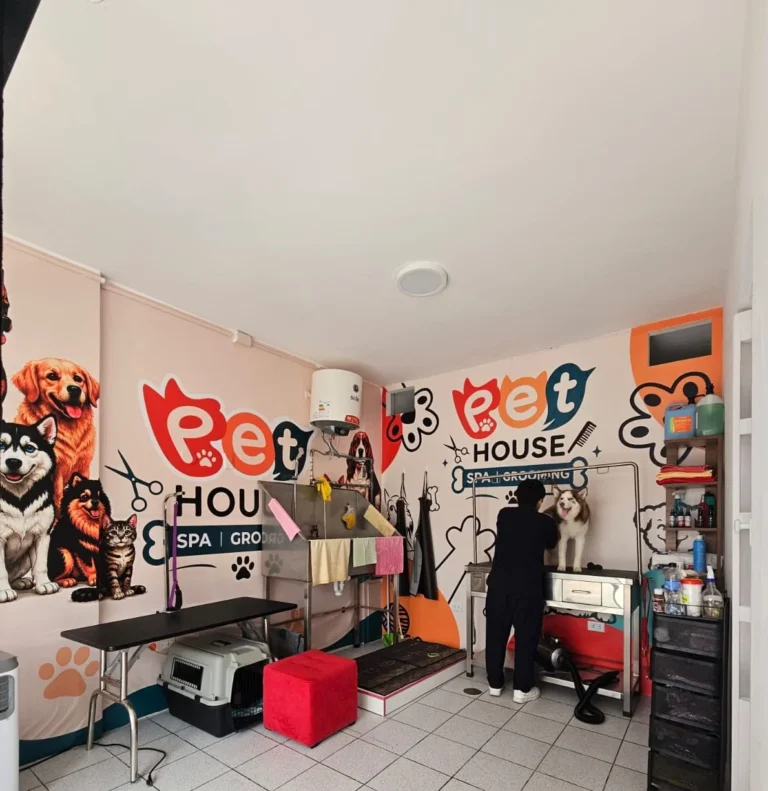 Pet house spa 3 768x791