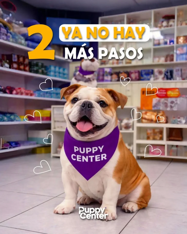 Puppy center 1 1 768x960