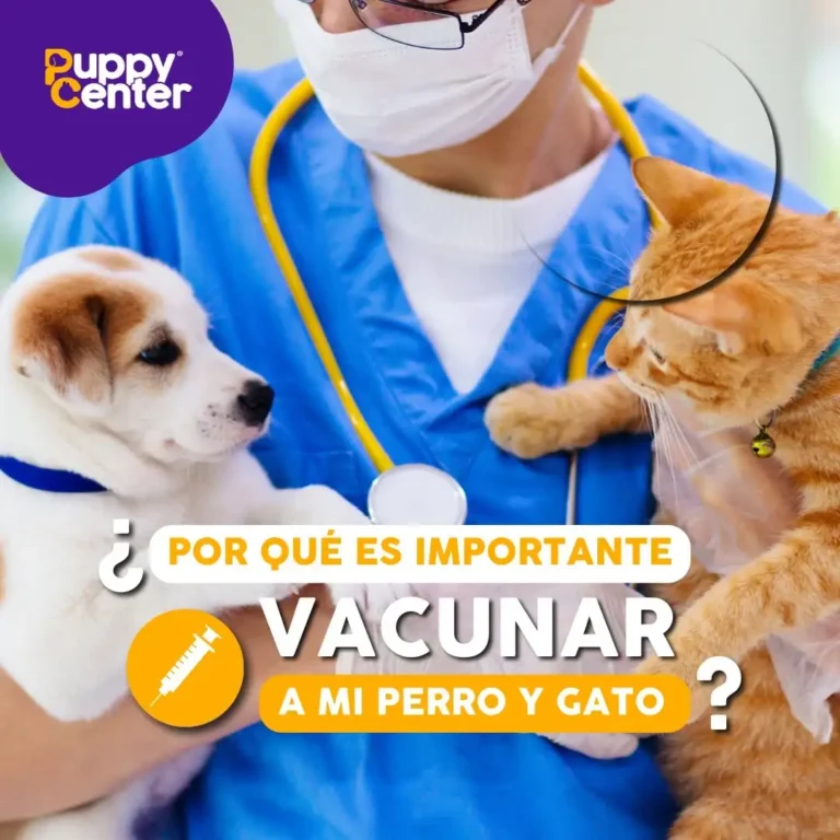 Puppy center 2 768x768