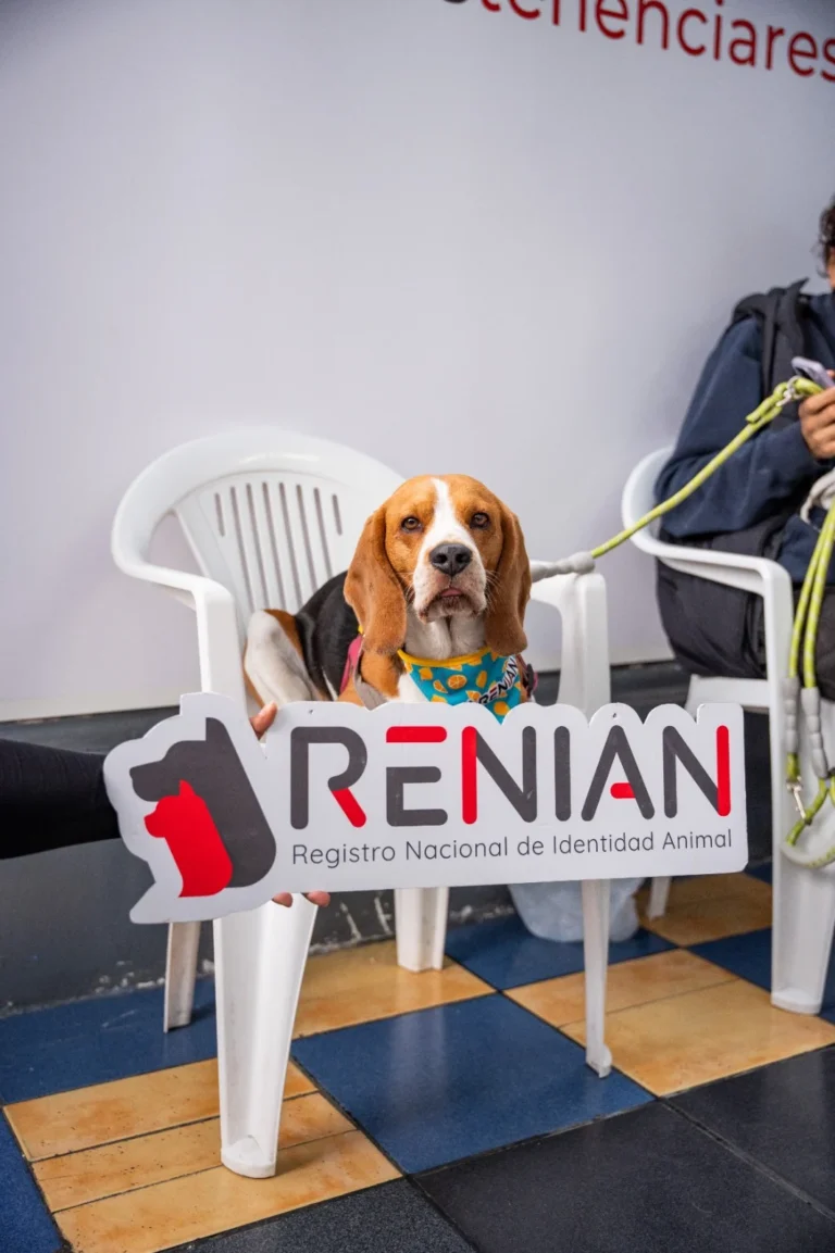 Renian 3 768x1153