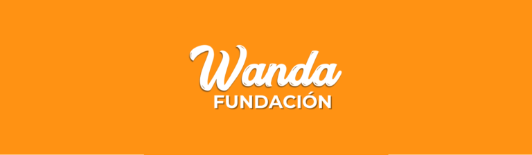 Wanda Portada 768x224