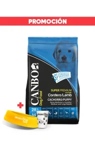 102002000006 promoción