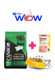 102002000009 - cyber wow julio