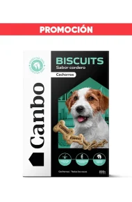 119021000002 promoción