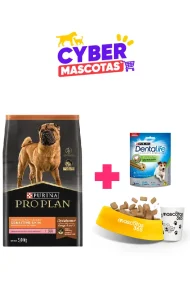 12453289 - cyber mascotas julio