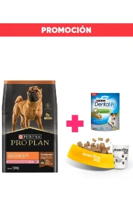 12453289 - promoción