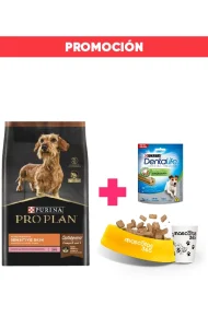 12453313 - promoción