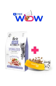 12462 - cyber wow julio