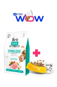 12481 - cyber wow julio