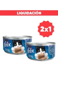 12549598-L (2x1) (1)