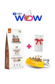 12805 - cyber wow julio