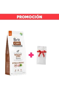 12805-promocion
