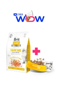 12951 - cyber wow julio