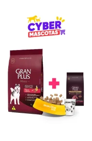 13009061 - Cyber Mascotas