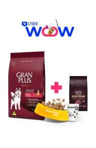 13009061 - Cyber Wow