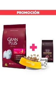 13009069 (Promoción)