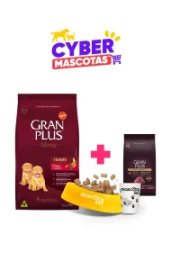 13009077 -Cyber Mascotas