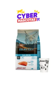 4GA020032 - Cyber Msacotas