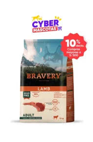 4PE040063 (Cyber AAA)