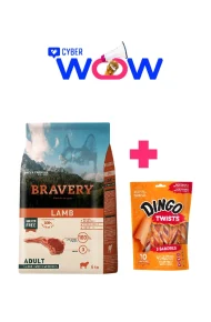 4PE040063 - Cyber Wow