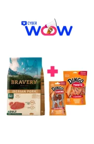 4PE040064 - Cyber Wow