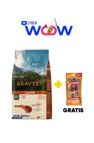 4PE070001 - Cyber Wow