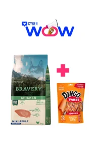 4PE070003 - Cyber Wow