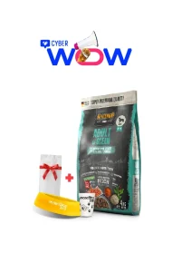 556315 - cyber wow julio