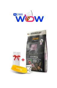 558115 - cyber wow julio