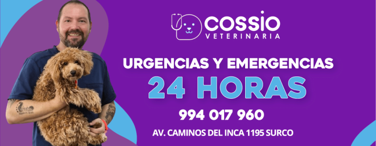 Veterinaria Cossio