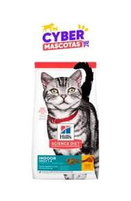 ACOM-00575-cyber-nov