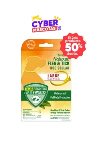 COSM0015 (Cyber 2do50%)