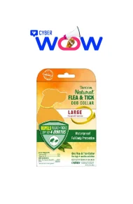 COSM0015 - Cyber Wow