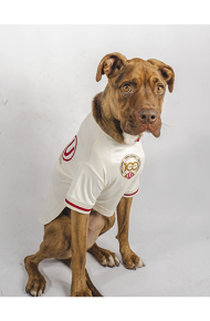Camiseta Oficial Universitario-1