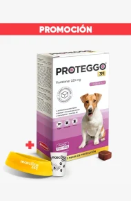 FAR0000361 promoción (vaso + plato)