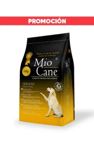 PA-0015K - Promoción