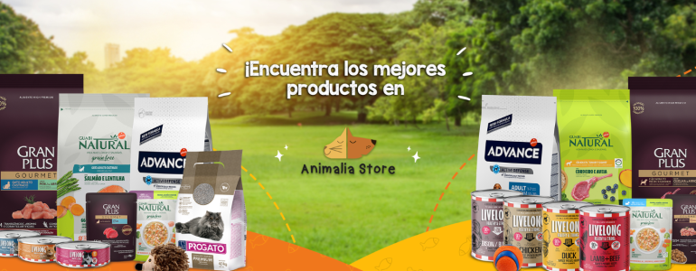 animalia store