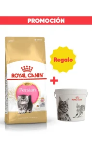 R360903 (Promoción M080004 gratis)