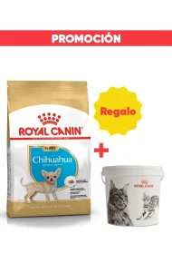 R448450 (Promoción M080002 gratis)