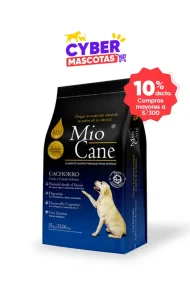 SPCH-15K (Cyber AAA)